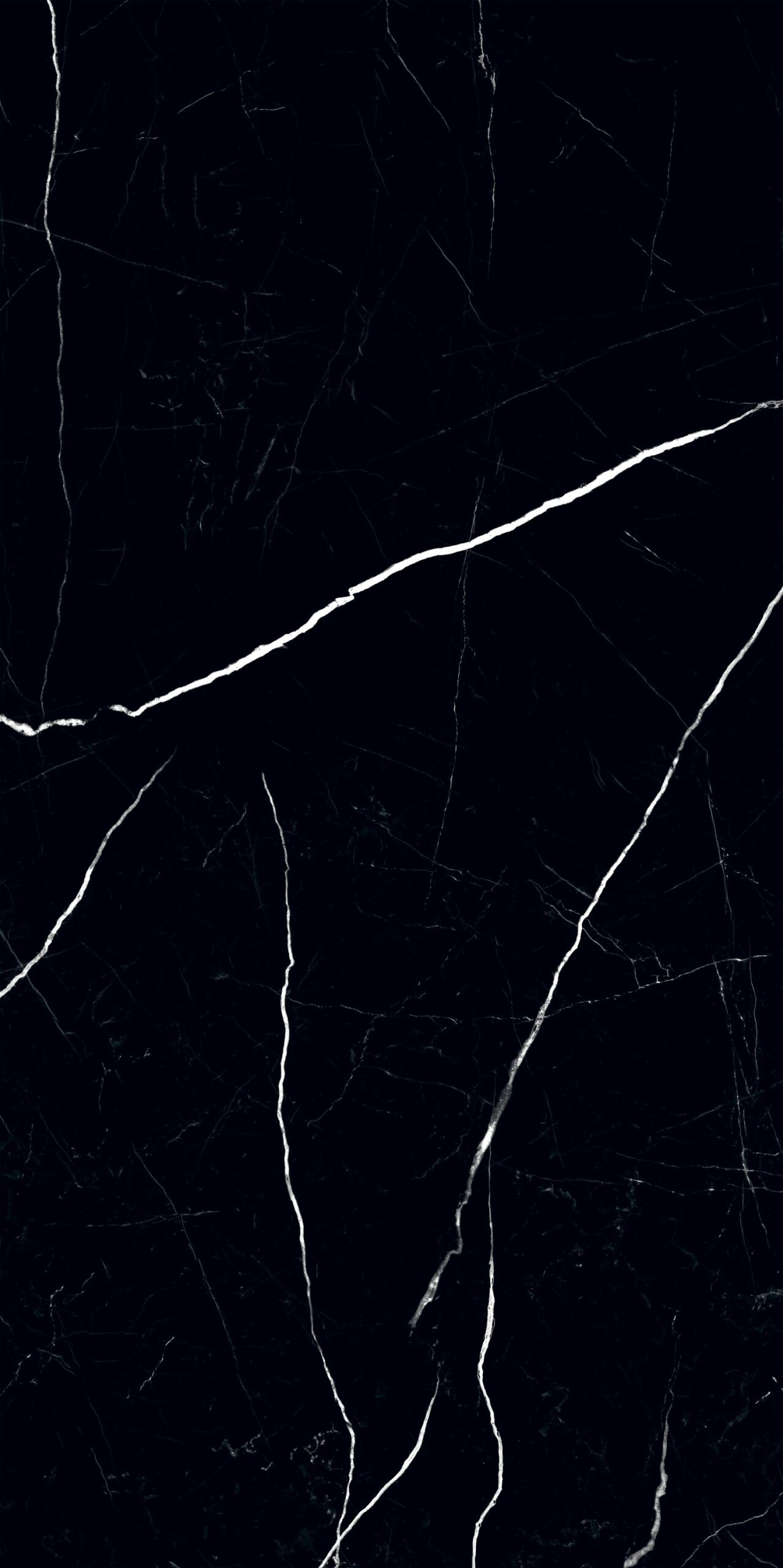 Black Pulpis - Image 4