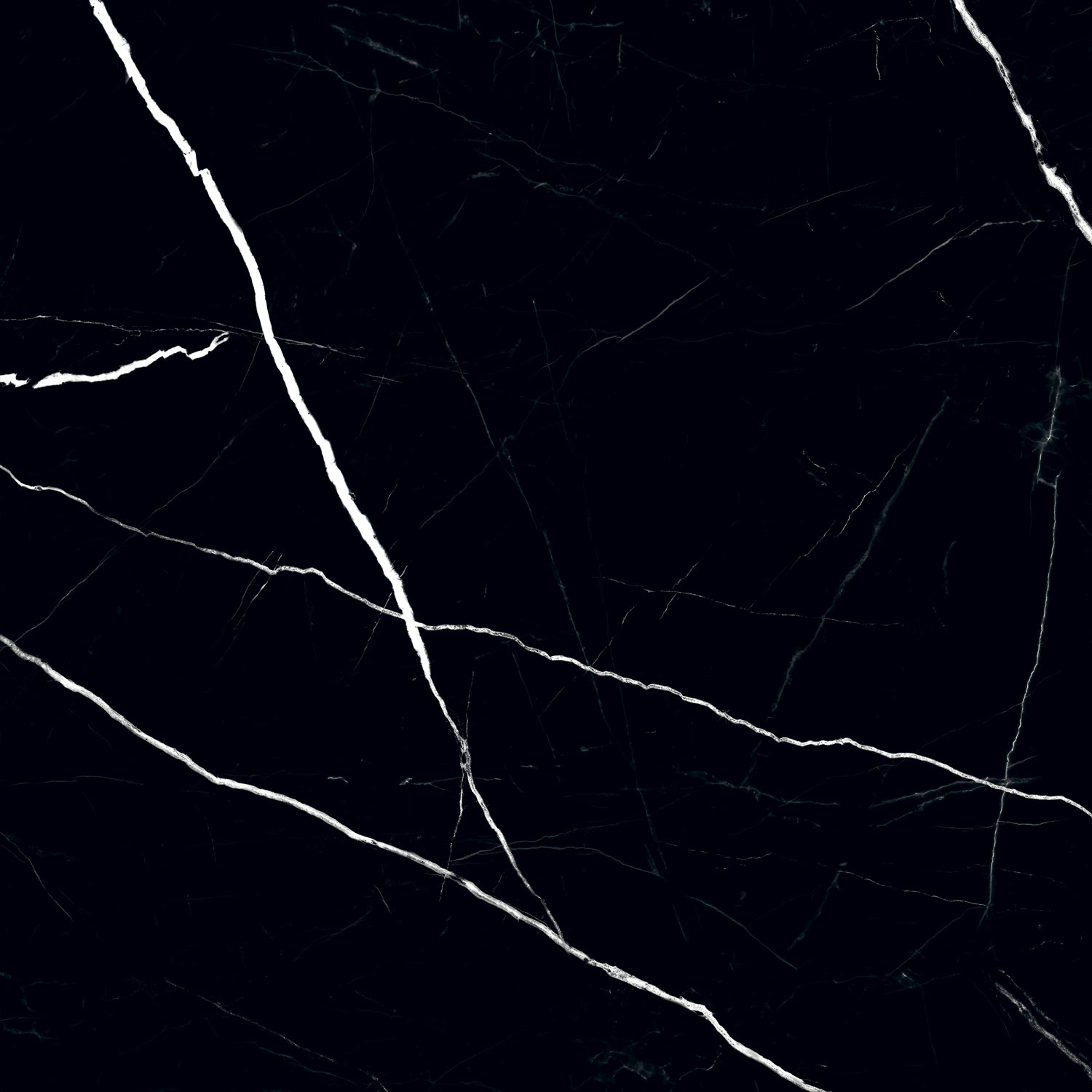 Black Pulpis - Image 2